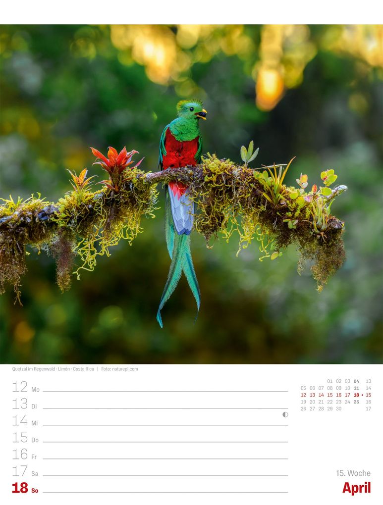 Weitere Ansicht: Planet Erde Wochenplaner Kalender 2027 | Landschaften der Welt | Ackermann Kunstverlag GmbH