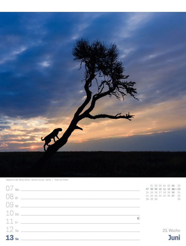 Weitere Ansicht: Planet Erde Wochenplaner Kalender 2027 | Landschaften der Welt | Ackermann Kunstverlag GmbH