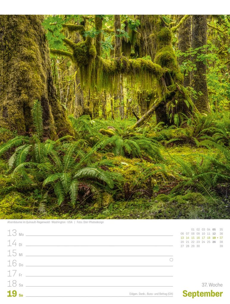 Weitere Ansicht: Planet Erde Wochenplaner Kalender 2027 | Landschaften der Welt | Ackermann Kunstverlag GmbH