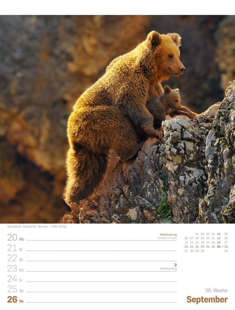 Weitere Ansicht: Planet Erde Wochenplaner Kalender 2027 | Landschaften der Welt | Ackermann Kunstverlag GmbH