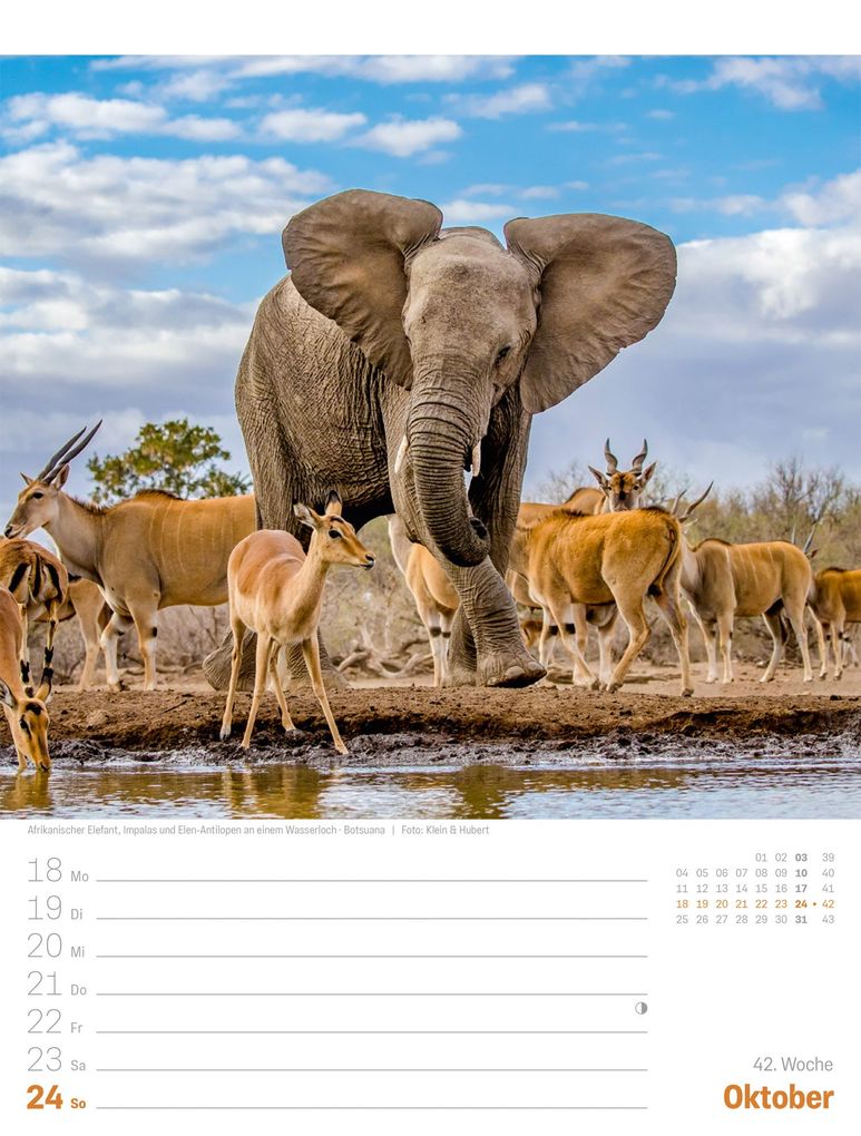Weitere Ansicht: Planet Erde Wochenplaner Kalender 2027 | Landschaften der Welt | Ackermann Kunstverlag GmbH