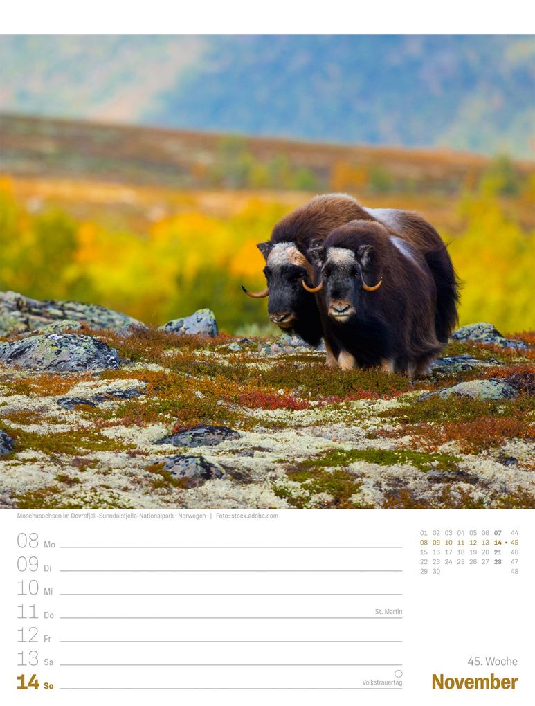 Weitere Ansicht: Planet Erde Wochenplaner Kalender 2027 | Landschaften der Welt | Ackermann Kunstverlag GmbH