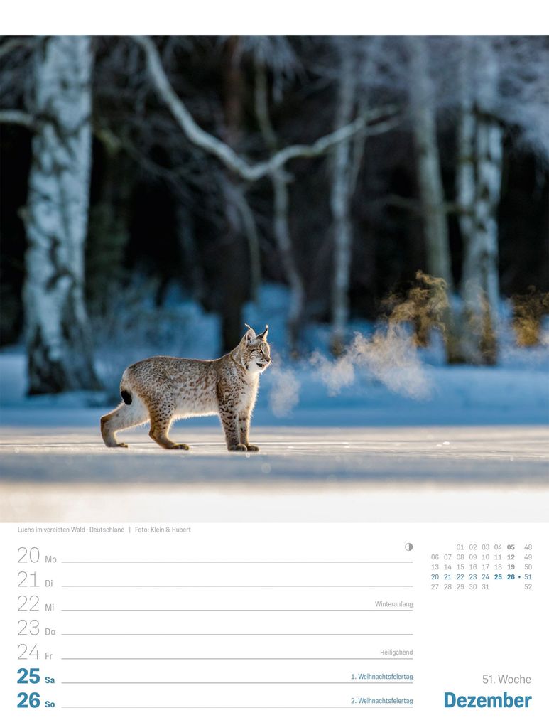 Weitere Ansicht: Planet Erde Wochenplaner Kalender 2027 | Landschaften der Welt | Ackermann Kunstverlag GmbH