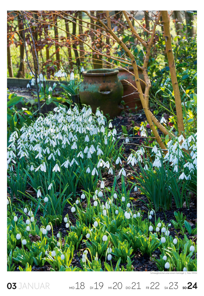 Weitere Ansicht: Garten Wochenkalender 2027 | Ackermann Kunstverlag GmbH