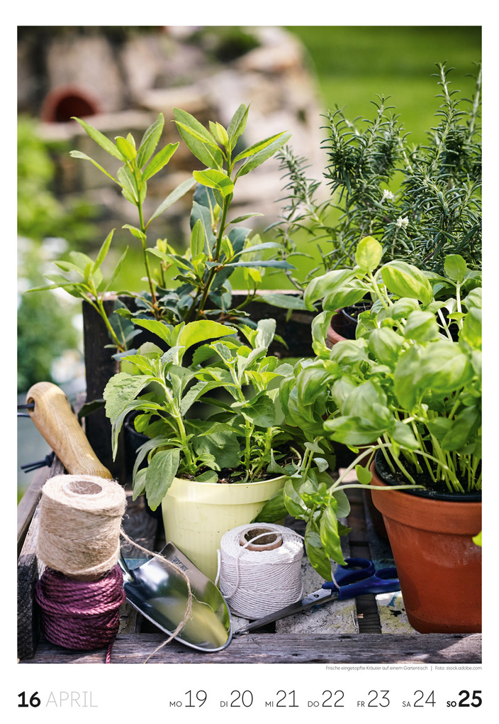 Weitere Ansicht: Garten Wochenkalender 2027 | Ackermann Kunstverlag GmbH