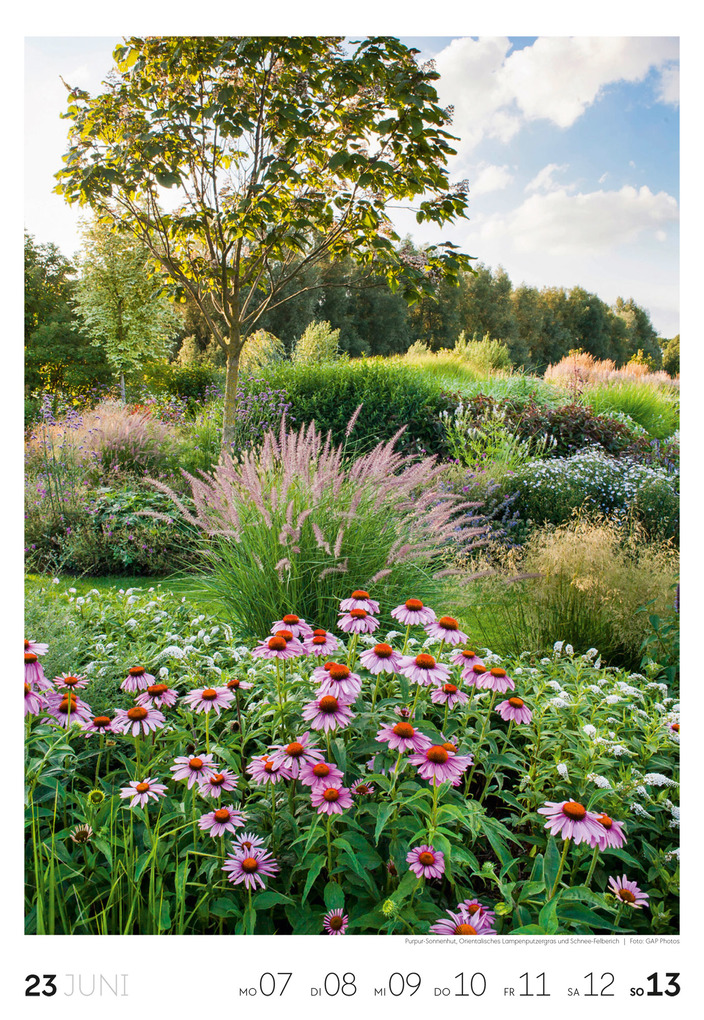 Weitere Ansicht: Garten Wochenkalender 2027 | Ackermann Kunstverlag GmbH