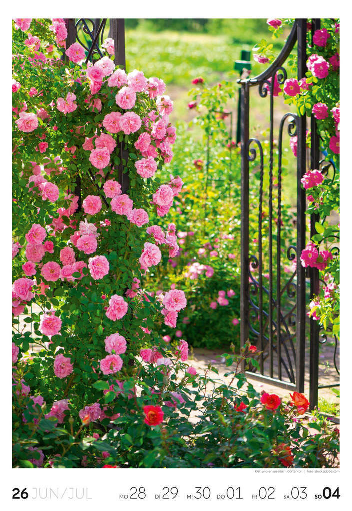Weitere Ansicht: Garten Wochenkalender 2027 | Ackermann Kunstverlag GmbH