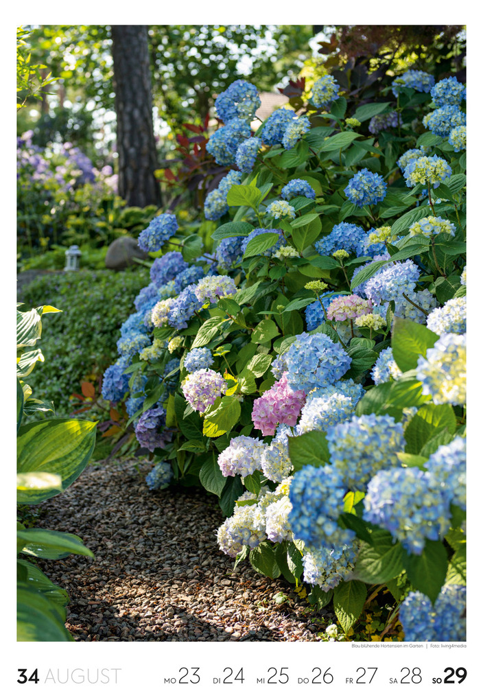 Weitere Ansicht: Garten Wochenkalender 2027 | Ackermann Kunstverlag GmbH