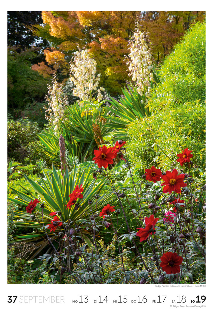 Weitere Ansicht: Garten Wochenkalender 2027 | Ackermann Kunstverlag GmbH