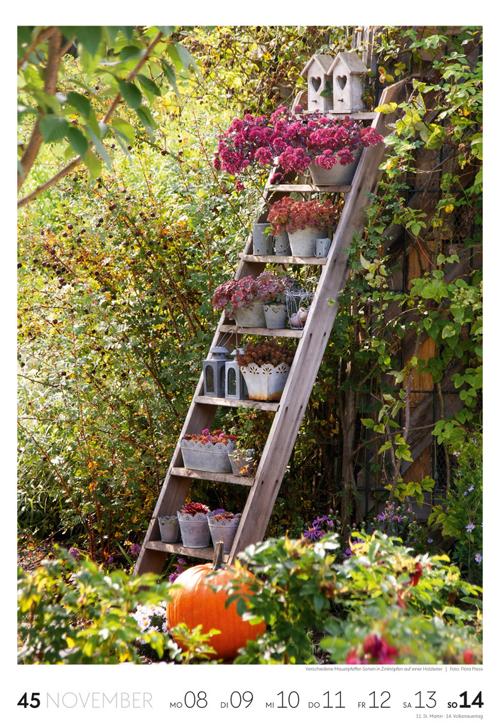 Weitere Ansicht: Garten Wochenkalender 2027 | Ackermann Kunstverlag GmbH