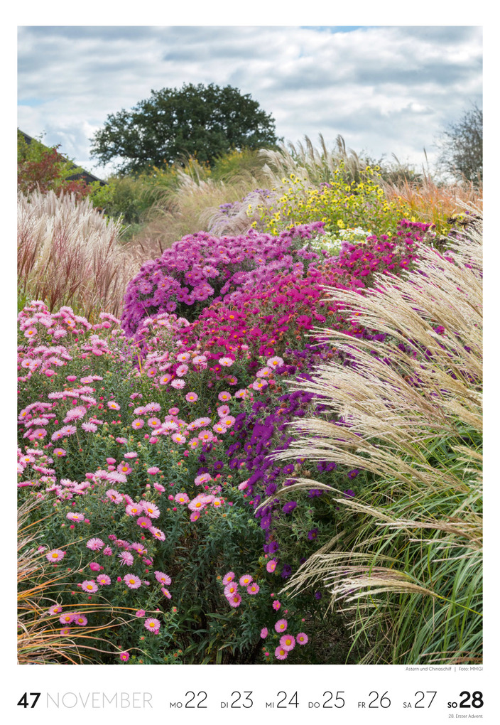 Weitere Ansicht: Garten Wochenkalender 2027 | Ackermann Kunstverlag GmbH