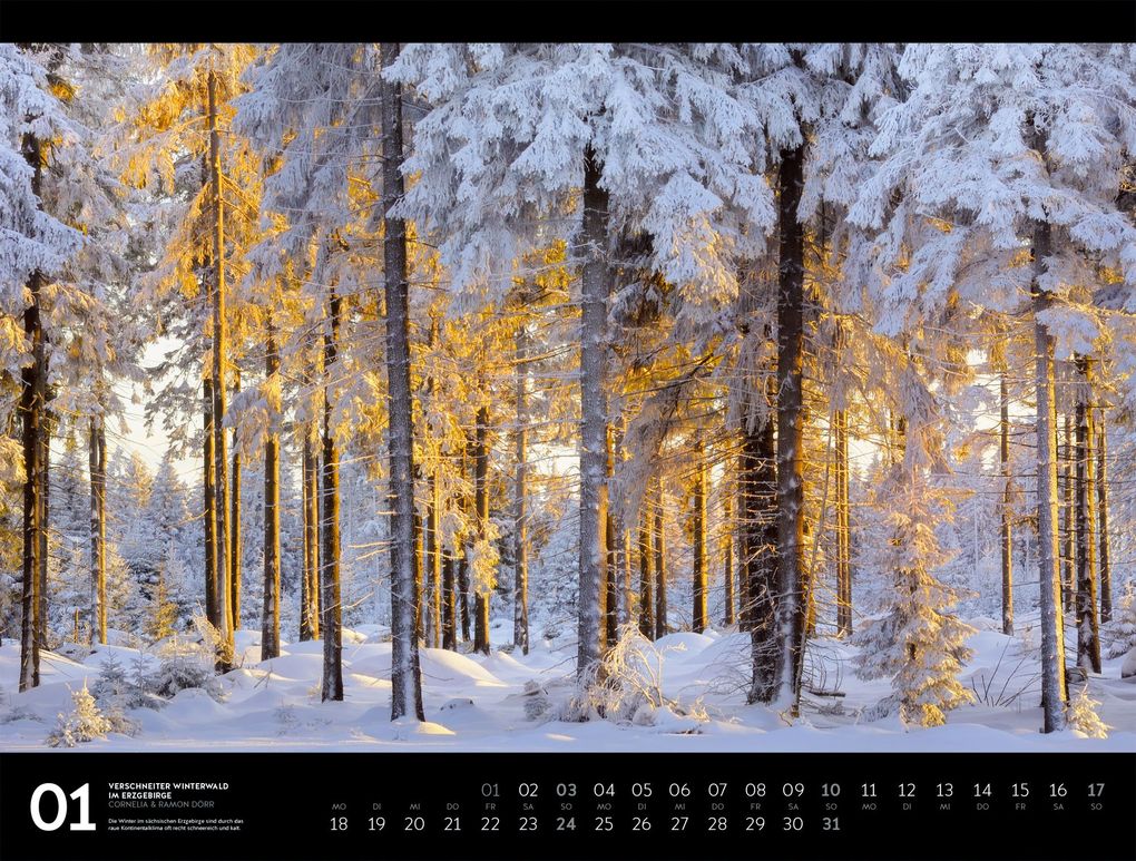 Weitere Ansicht: Naturparadies Deutschland Signature Kalender 2027 | Dörr, Ackermann Kunstverlag GmbH