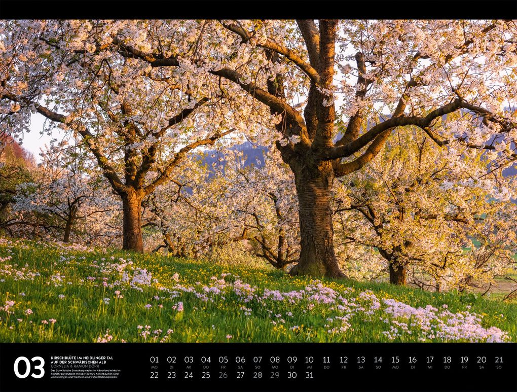 Weitere Ansicht: Naturparadies Deutschland Signature Kalender 2027 | Dörr, Ackermann Kunstverlag GmbH