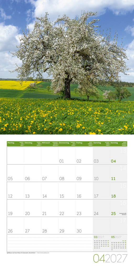 Weitere Ansicht: Bäume Kalender 2027 - 30x30 - Art12 | Ackermann Kunstverlag GmbH