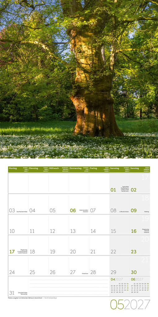 Weitere Ansicht: Bäume Kalender 2027 - 30x30 - Art12 | Ackermann Kunstverlag GmbH