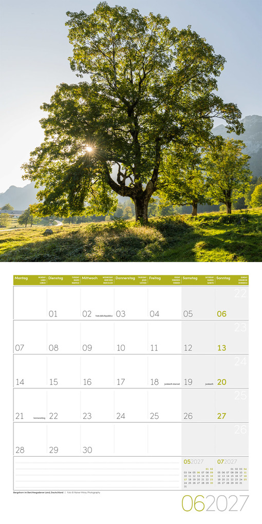 Weitere Ansicht: Bäume Kalender 2027 - 30x30 - Art12 | Ackermann Kunstverlag GmbH