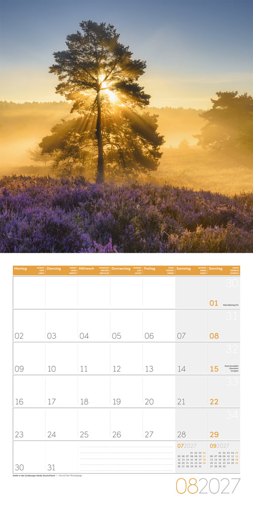 Weitere Ansicht: Bäume Kalender 2027 - 30x30 - Art12 | Ackermann Kunstverlag GmbH
