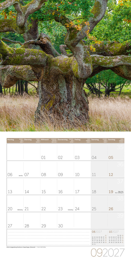 Weitere Ansicht: Bäume Kalender 2027 - 30x30 - Art12 | Ackermann Kunstverlag GmbH