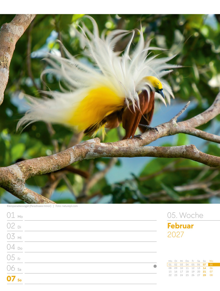 Weitere Ansicht: Vögel Wochenplaner Kalender 2027 | Ackermann Kunstverlag GmbH