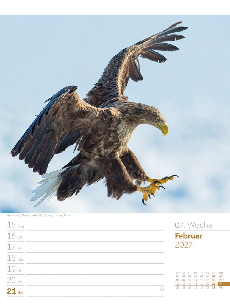 Weitere Ansicht: Vögel Wochenplaner Kalender 2027 | Ackermann Kunstverlag GmbH