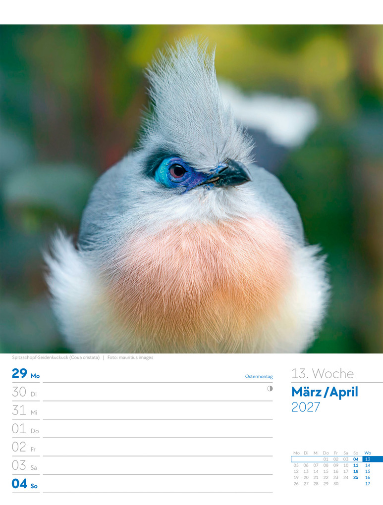 Weitere Ansicht: Vögel Wochenplaner Kalender 2027 | Ackermann Kunstverlag GmbH