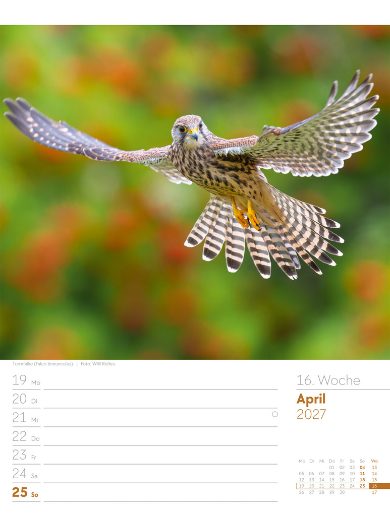 Weitere Ansicht: Vögel Wochenplaner Kalender 2027 | Ackermann Kunstverlag GmbH