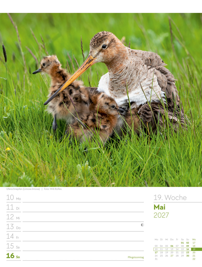 Weitere Ansicht: Vögel Wochenplaner Kalender 2027 | Ackermann Kunstverlag GmbH