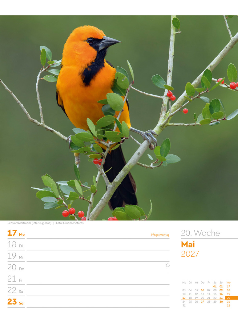 Weitere Ansicht: Vögel Wochenplaner Kalender 2027 | Ackermann Kunstverlag GmbH