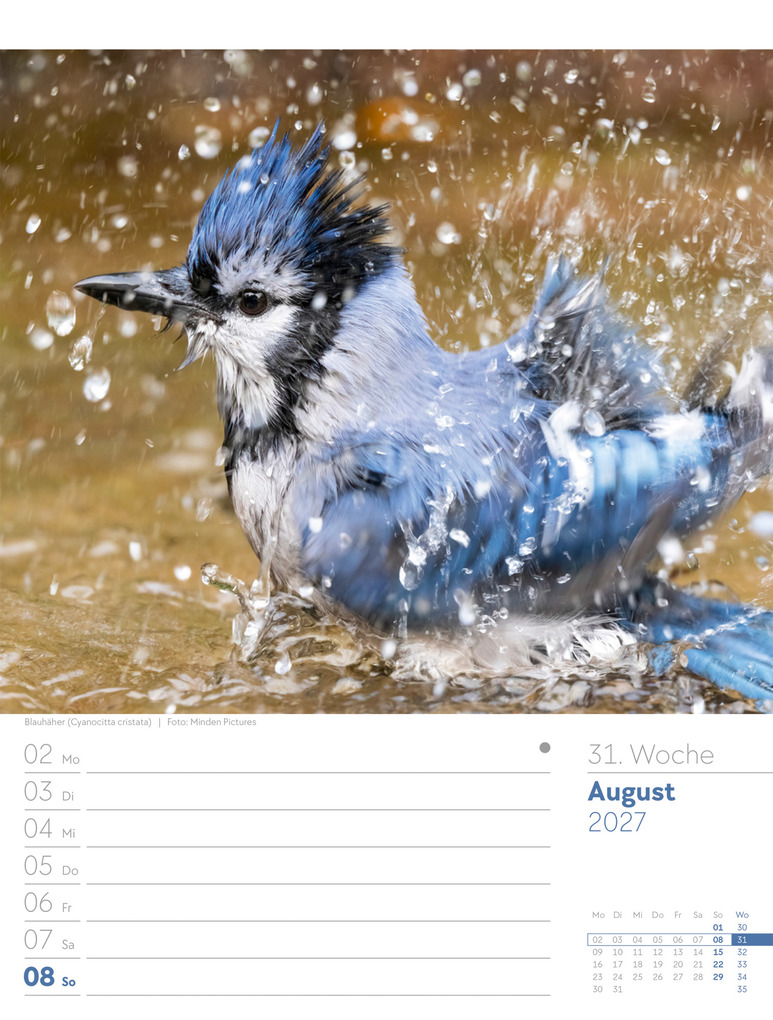 Weitere Ansicht: Vögel Wochenplaner Kalender 2027 | Ackermann Kunstverlag GmbH