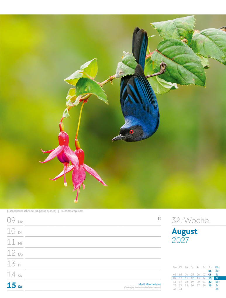 Weitere Ansicht: Vögel Wochenplaner Kalender 2027 | Ackermann Kunstverlag GmbH