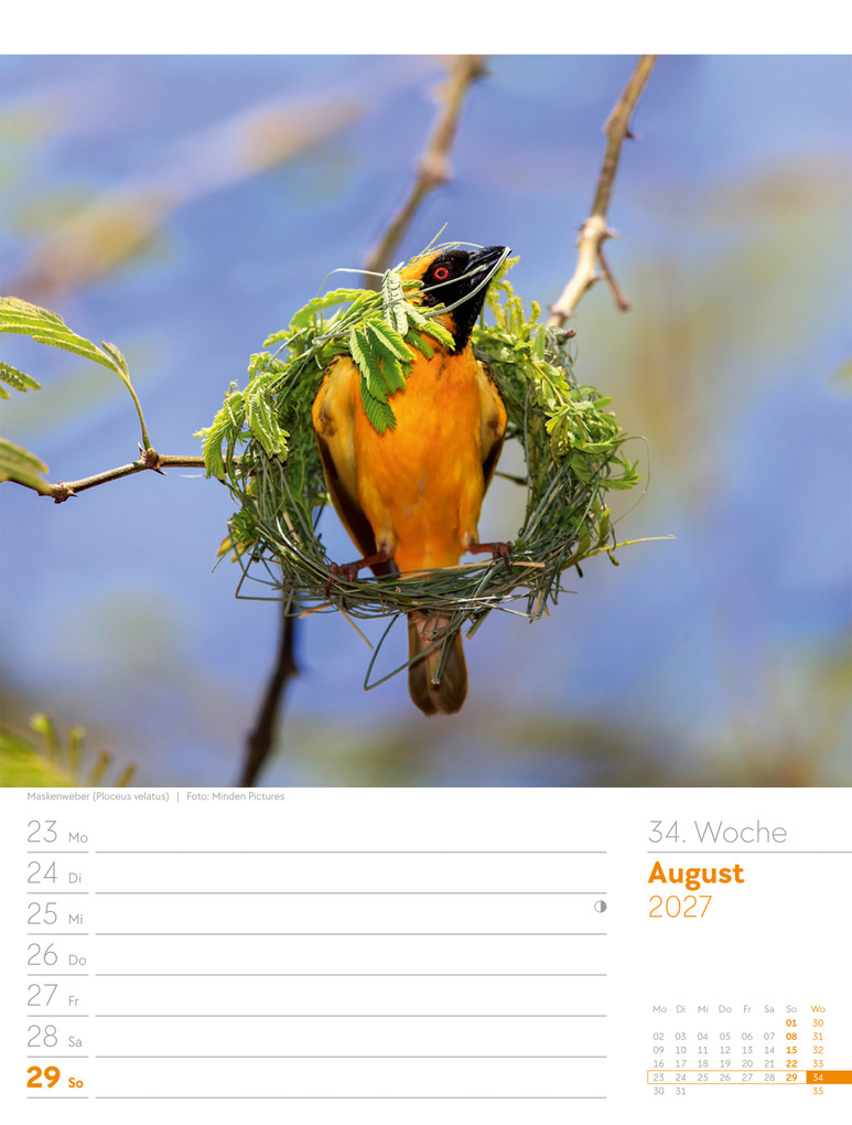 Weitere Ansicht: Vögel Wochenplaner Kalender 2027 | Ackermann Kunstverlag GmbH