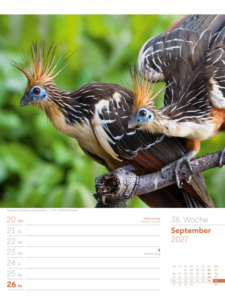 Weitere Ansicht: Vögel Wochenplaner Kalender 2027 | Ackermann Kunstverlag GmbH