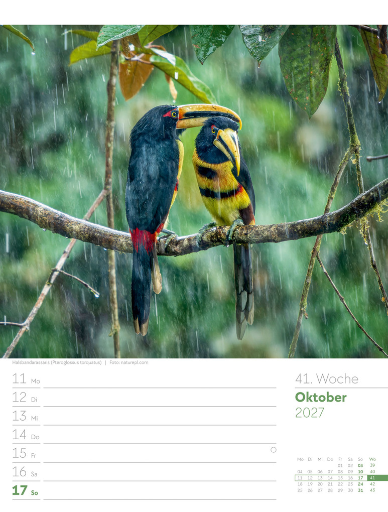 Weitere Ansicht: Vögel Wochenplaner Kalender 2027 | Ackermann Kunstverlag GmbH