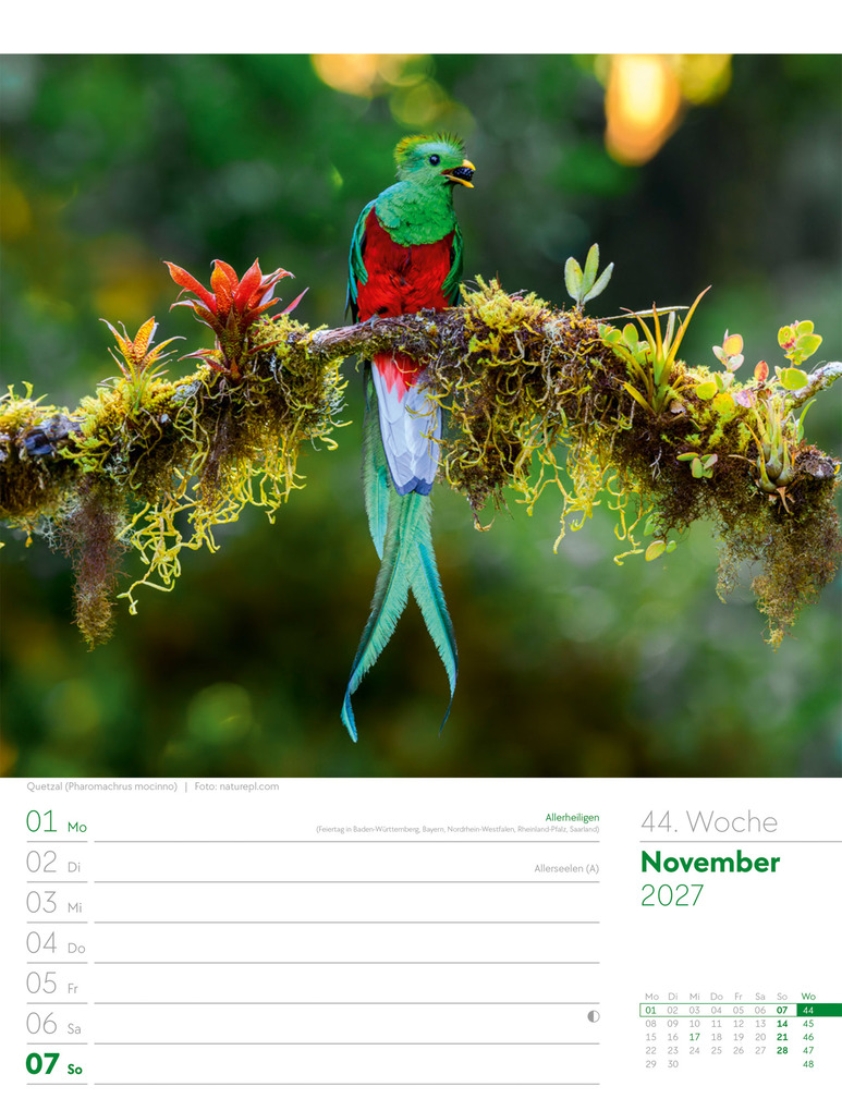 Weitere Ansicht: Vögel Wochenplaner Kalender 2027 | Ackermann Kunstverlag GmbH