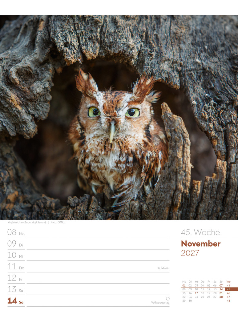Weitere Ansicht: Vögel Wochenplaner Kalender 2027 | Ackermann Kunstverlag GmbH