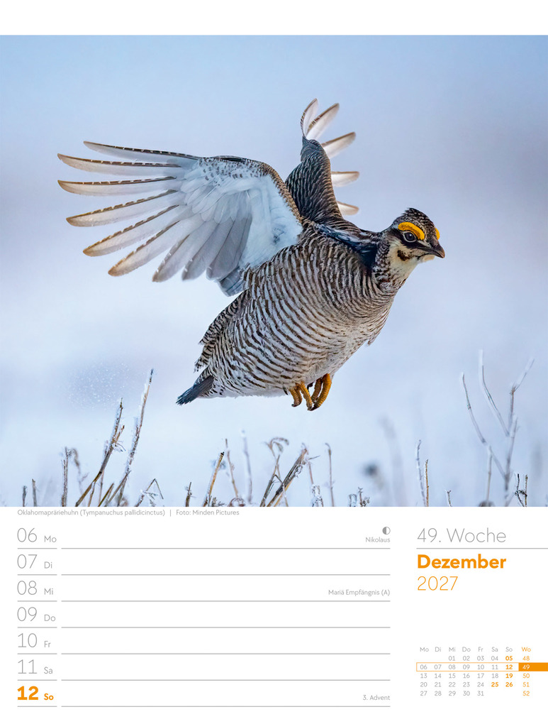 Weitere Ansicht: Vögel Wochenplaner Kalender 2027 | Ackermann Kunstverlag GmbH