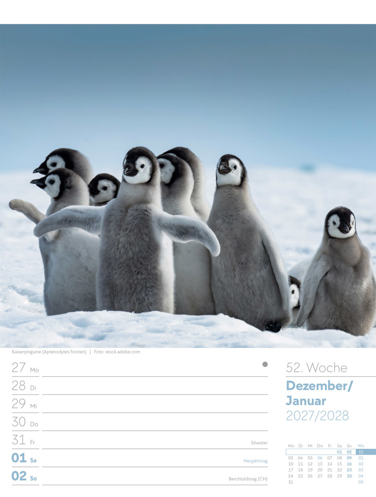 Weitere Ansicht: Vögel Wochenplaner Kalender 2027 | Ackermann Kunstverlag GmbH