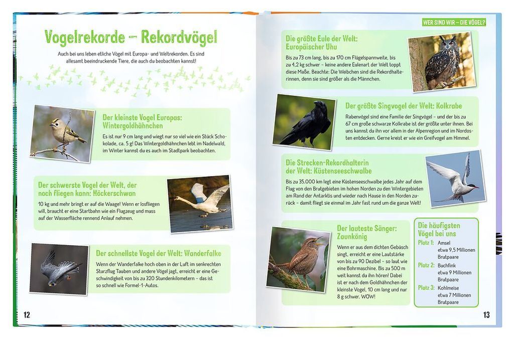 Weitere Ansicht: Erforsche die Vögel - Ihr Leben rund ums Jahr | Bärbel Oftring