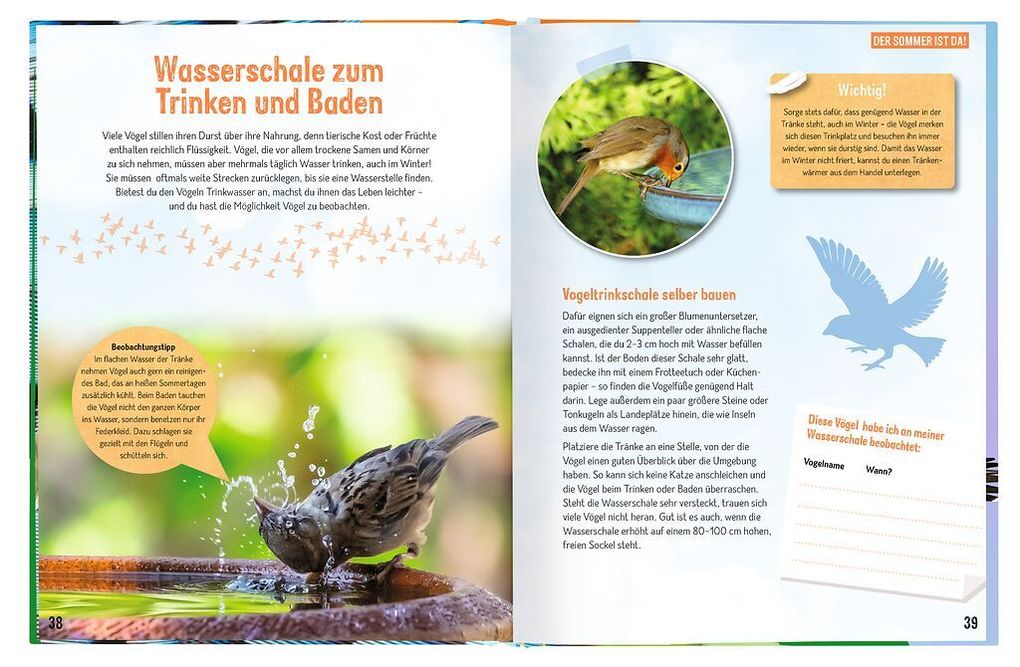 Weitere Ansicht: Erforsche die Vögel - Ihr Leben rund ums Jahr | Bärbel Oftring