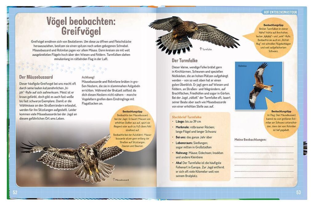 Weitere Ansicht: Erforsche die Vögel - Ihr Leben rund ums Jahr | Bärbel Oftring