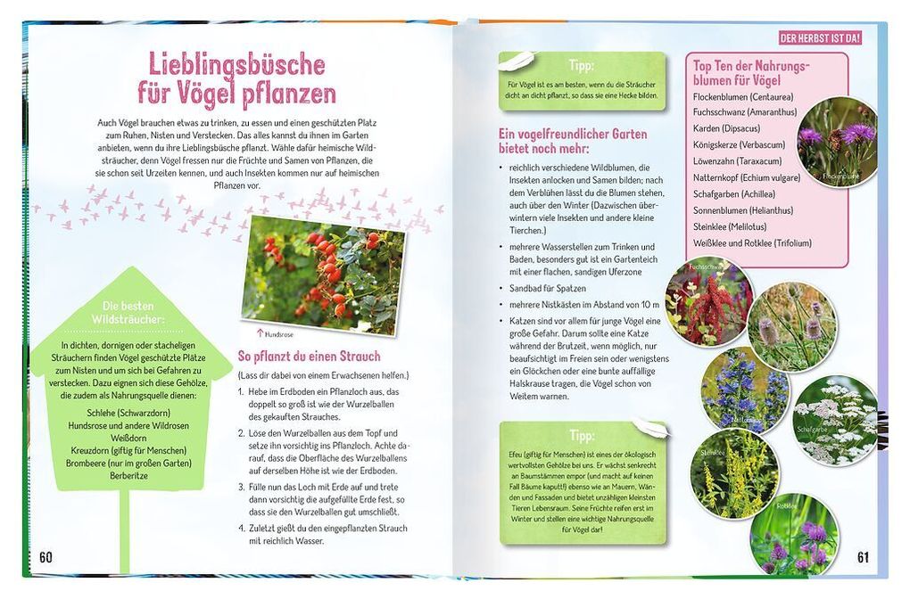 Weitere Ansicht: Erforsche die Vögel - Ihr Leben rund ums Jahr | Bärbel Oftring