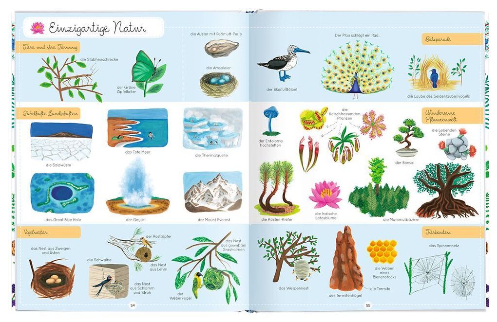 Weitere Ansicht: 1000 Wörter der Natur