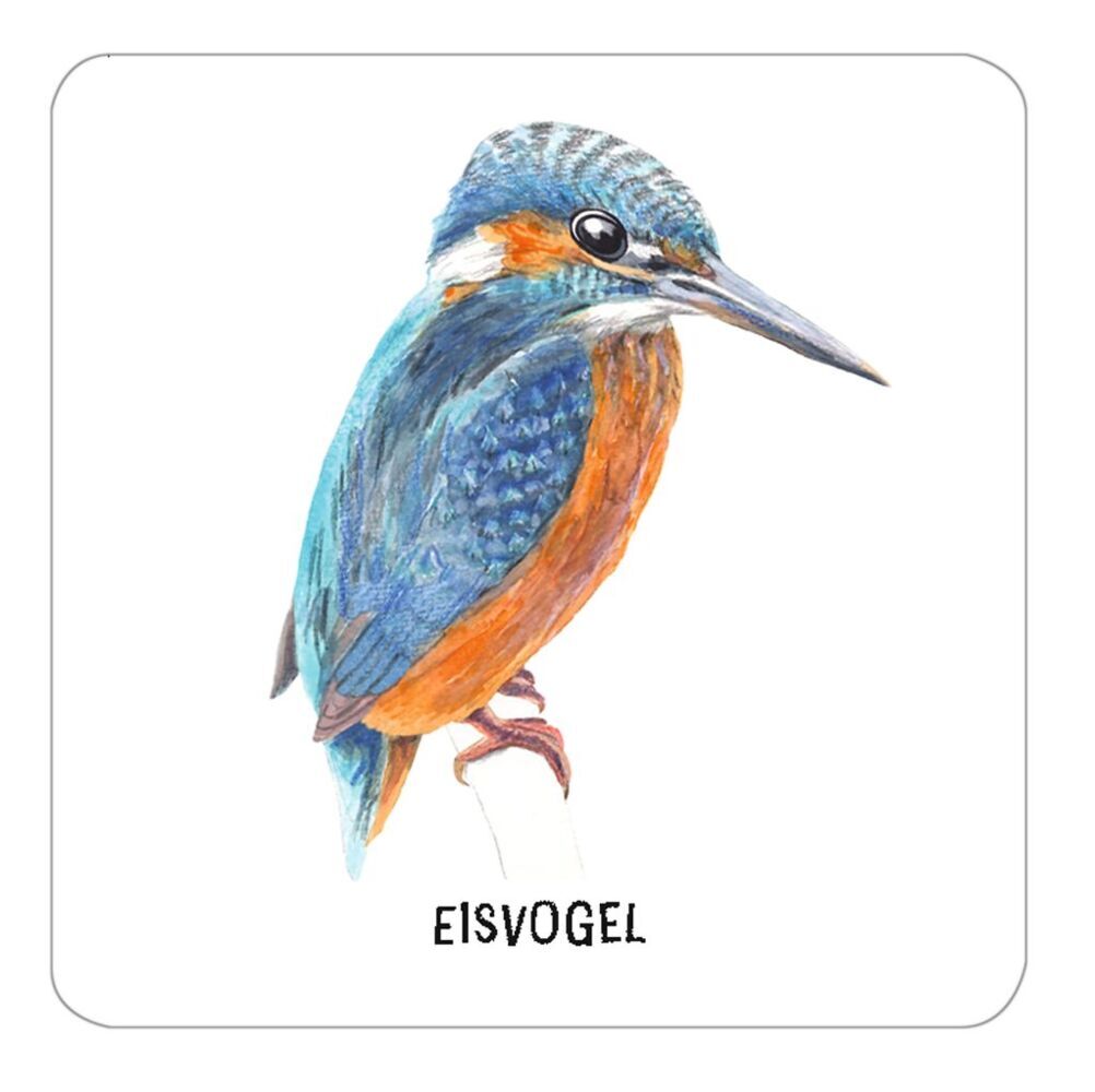 Weitere Ansicht: Das große Vogel Memo | Monika Klars