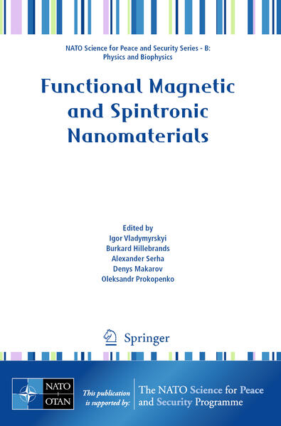 Produktbild: Functional Magnetic and Spintronic Nanomaterials
