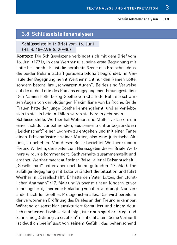 Weitere Ansicht: Die Leiden des jungen Werther von Johann Wolfgang von Goethe - Textanalyse und Interpretation | Johann Wolfgang von Goethe