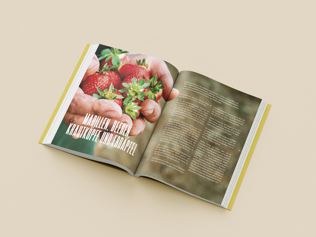 Weitere Ansicht: Südtirol - Menschen, Berge, Täler | Christoph Gufler