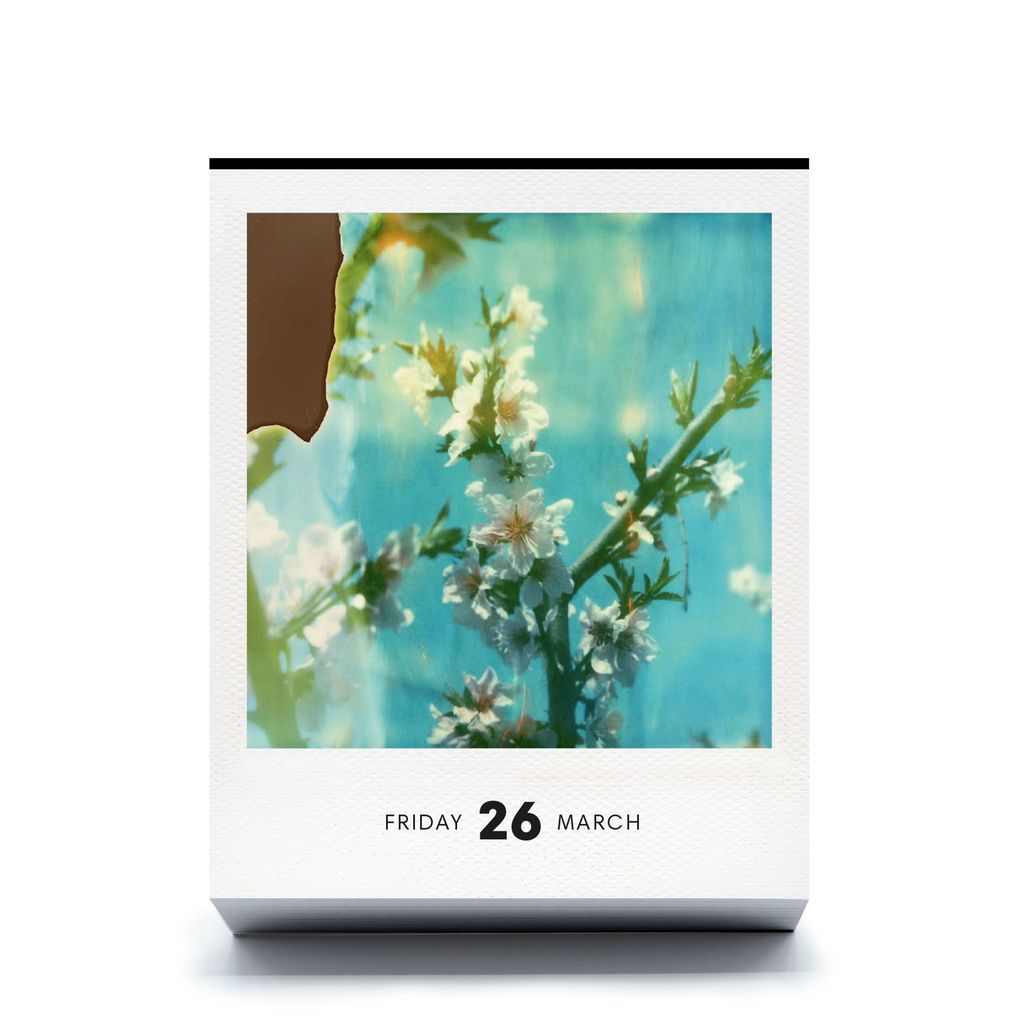 Weitere Ansicht: PHOTODARIUM 2027