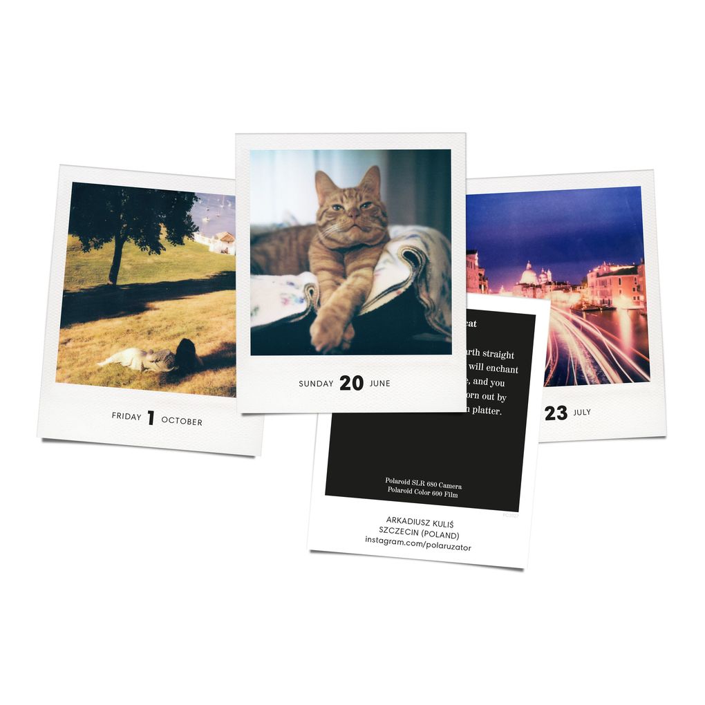 Weitere Ansicht: PHOTODARIUM 2027