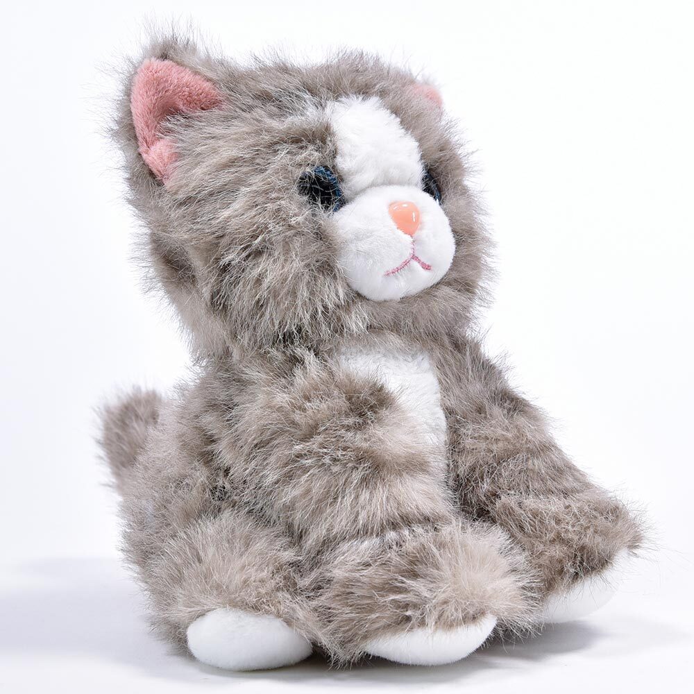 Weitere Ansicht: Laber Katze