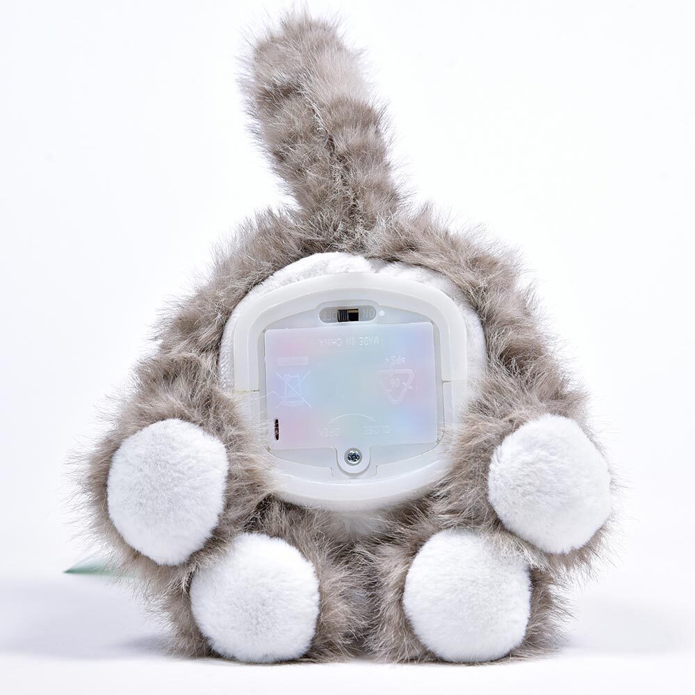 Weitere Ansicht: Laber Katze